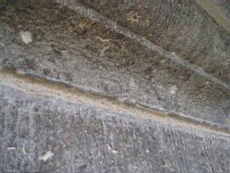 christchurch -2494.jpg